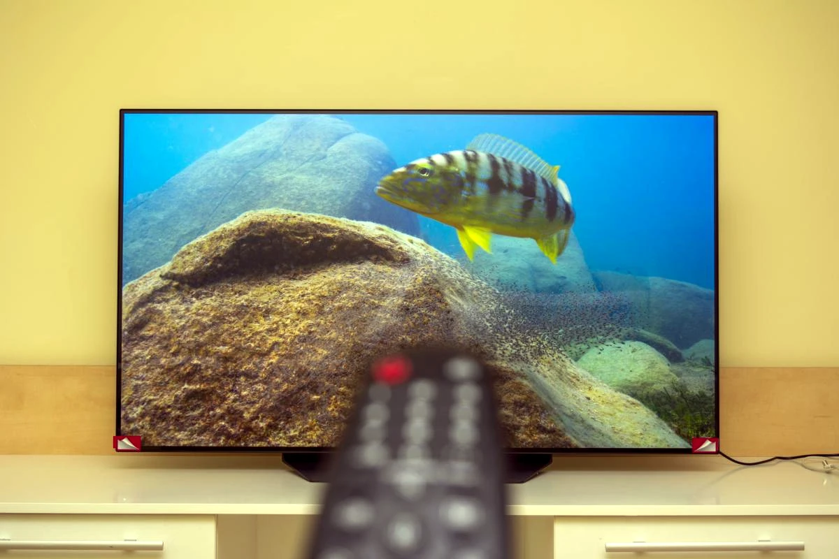 Скільки в середньому служить OLED-телевізор і коли його доведеться міняти