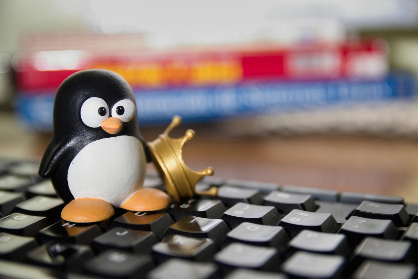 Крах міфу про «безпечну ОС»? 11-річну вразливість Linux активно експлуатують програми-вимагачі