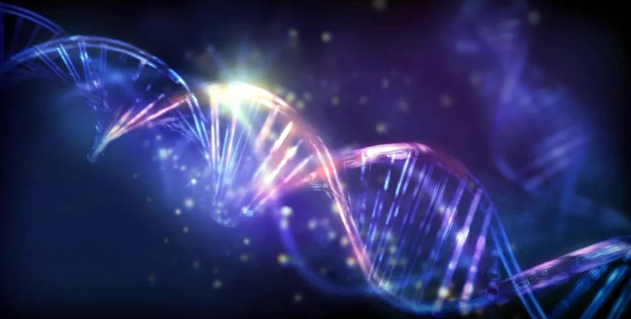 У США розробили ДНК-накопичувач із можливістю перезапису даних